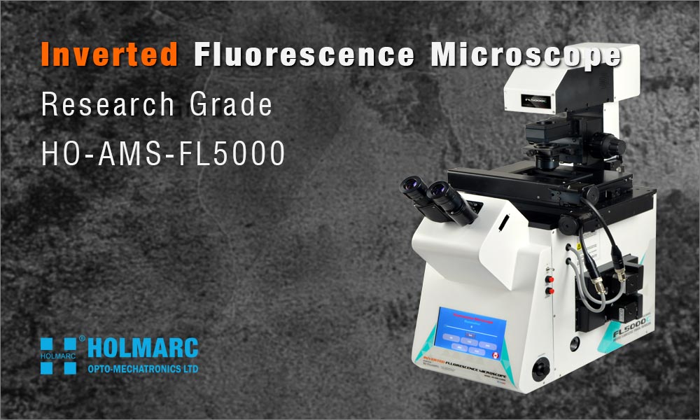 Inverted Fluorescence Microscope
